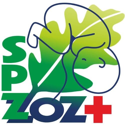 Dzień otwarty – zapraszamy przyszłych Rodziców.