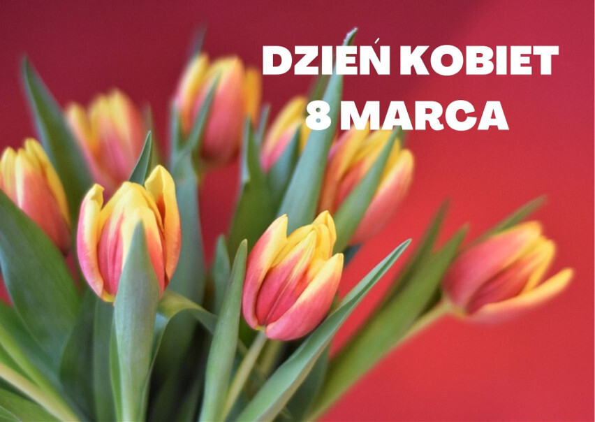 6405a75e360cb O Large 2