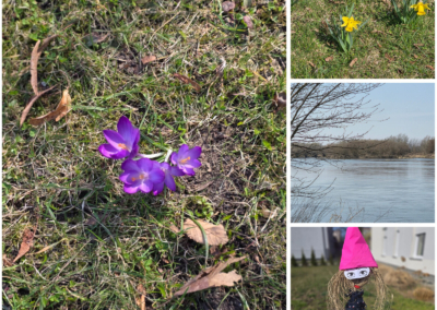 15f85237 4f9c 415b 8b37 Ea7cd56f04de 2